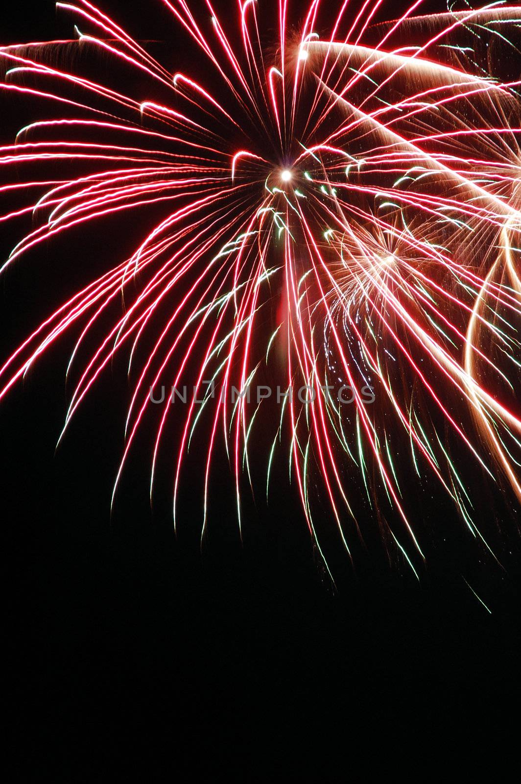 Colorful fireworks on dark sky