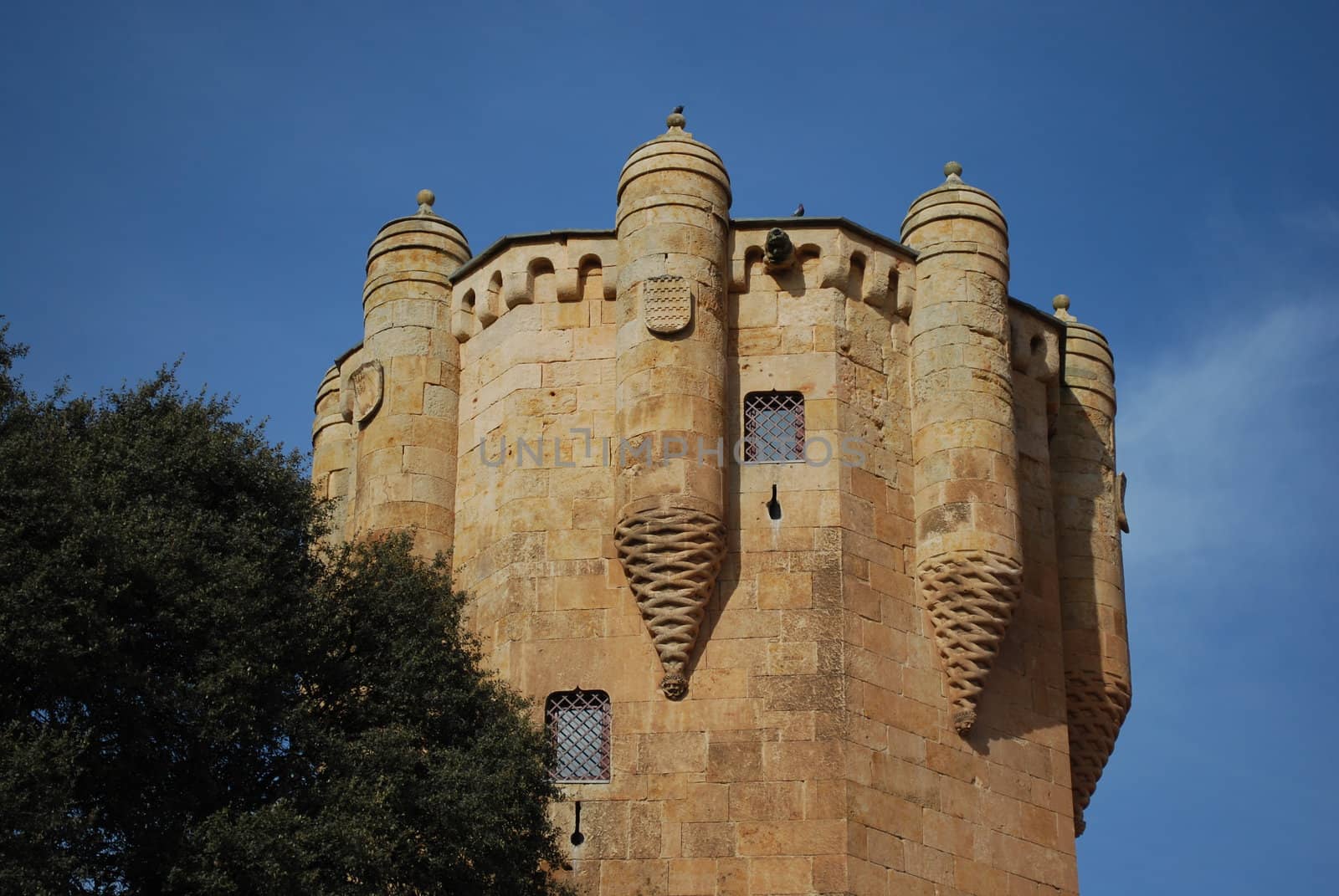 Tower of Clavero in Salamanca, Spain by luissantos84