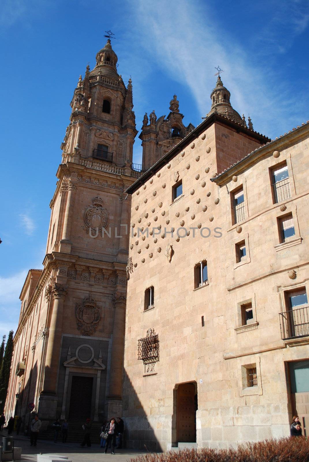 University and House of Shells in Salamanca, Spain by luissantos84