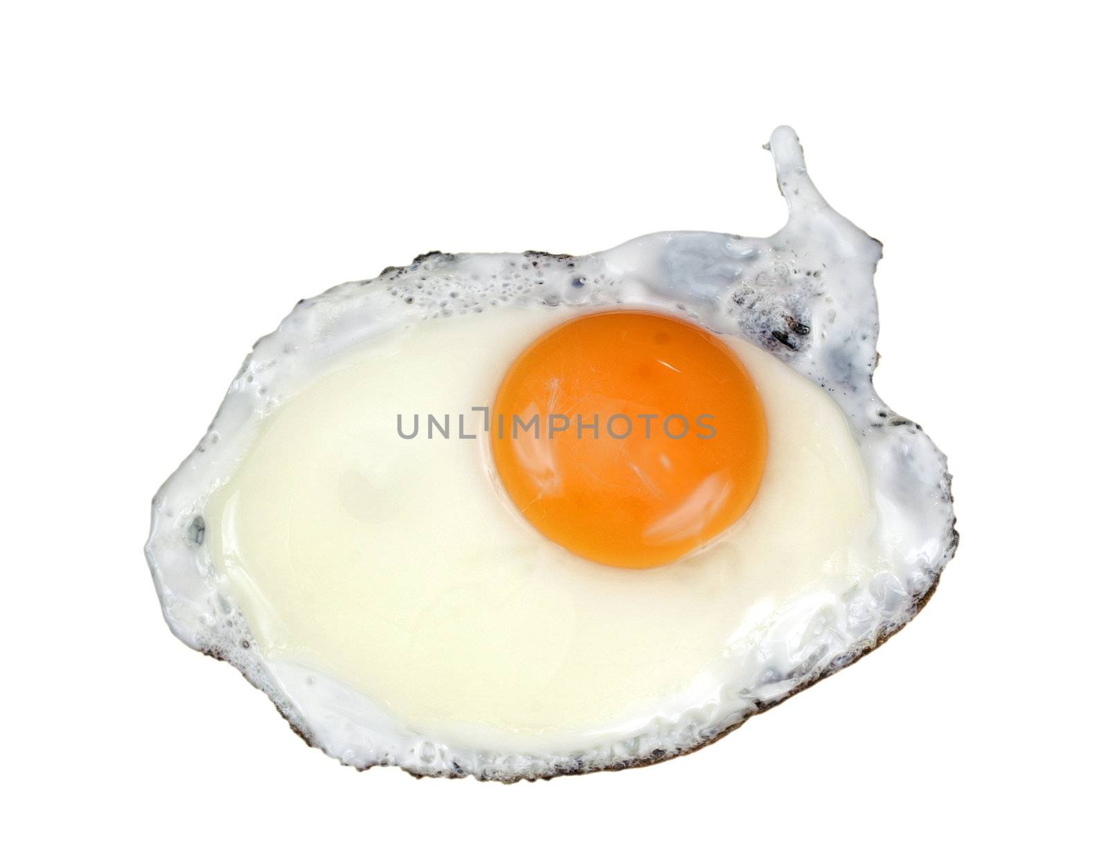 Fried egg on white background