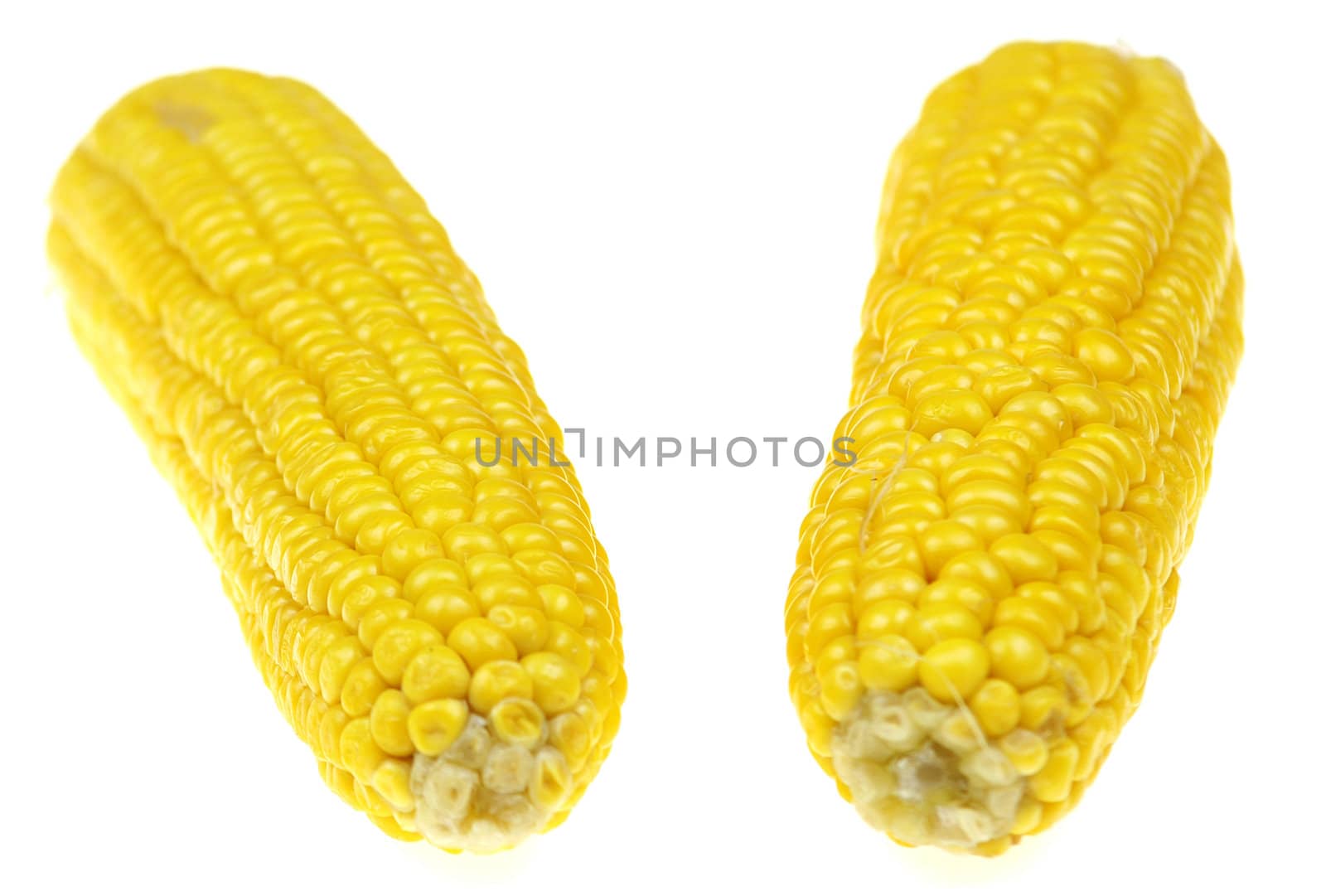 Corn cob over white