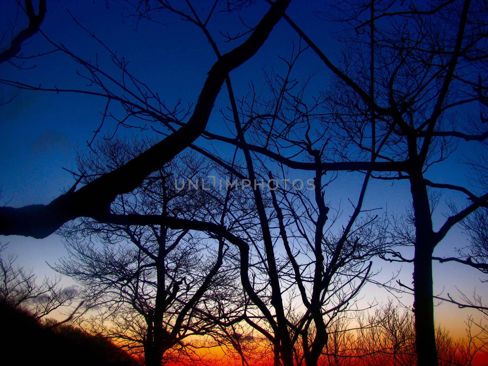 Taken on the Appalachian Trail.