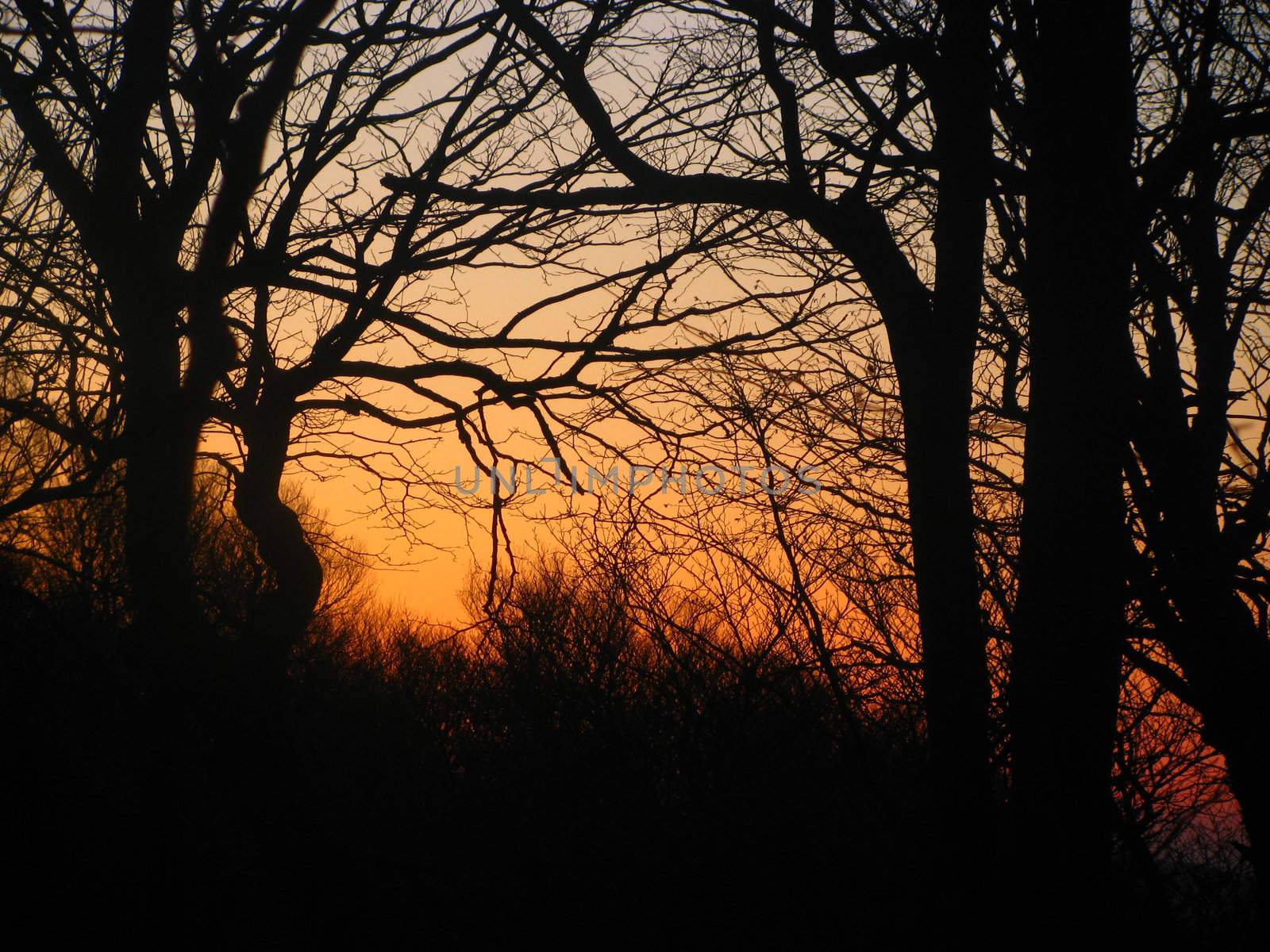 Sunset on the Appalachian Trail by jend