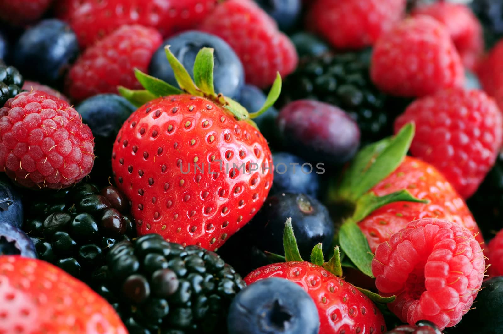 Background of assorted fresh berries close up