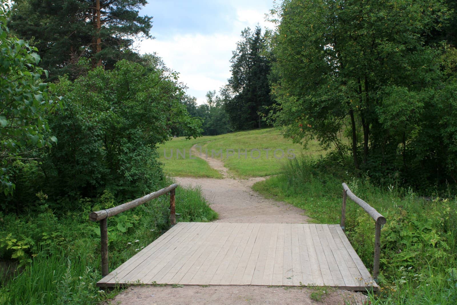 A path in the middle of russian park at Pavlovsk