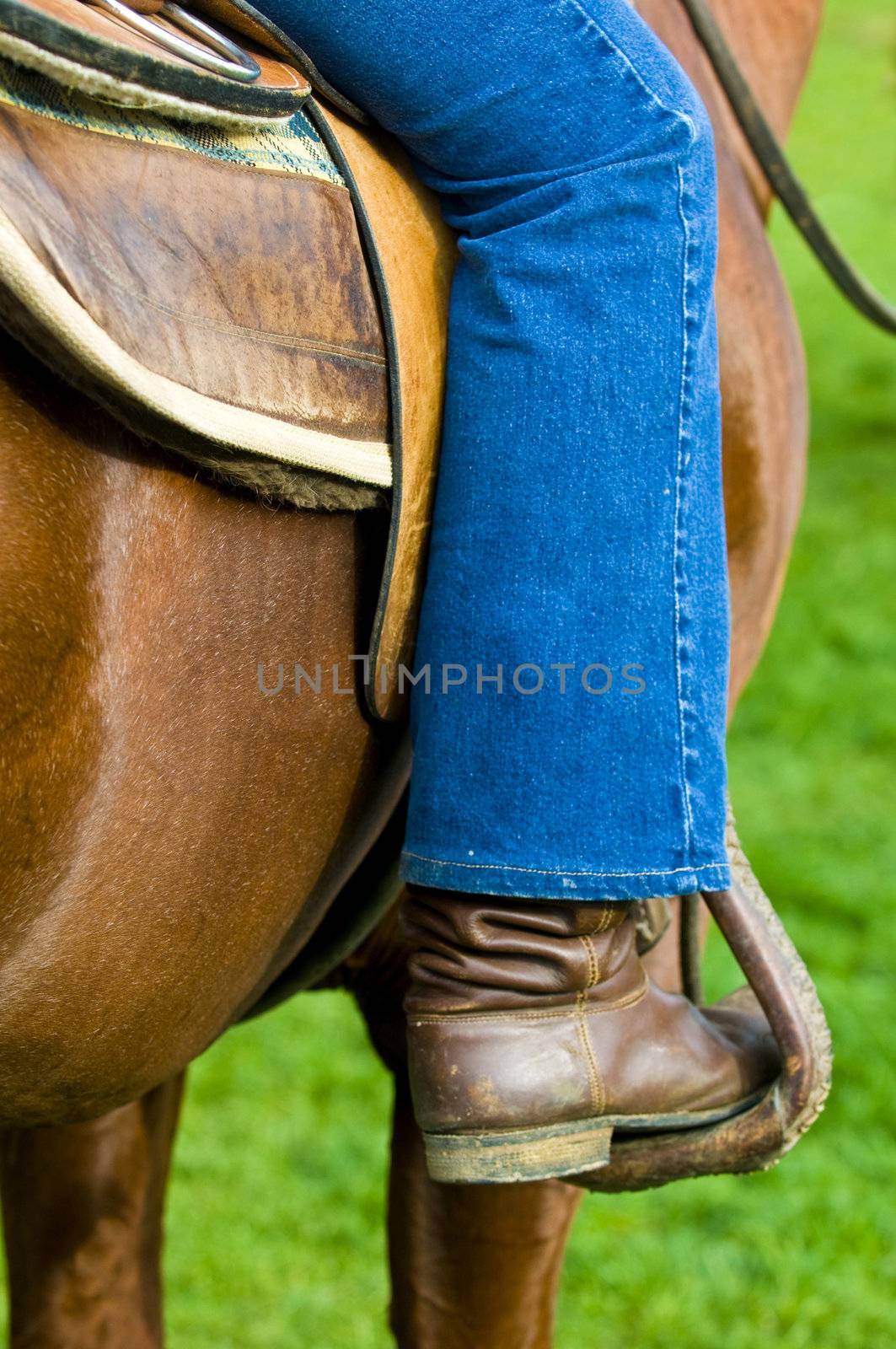 close up on a shouth american gaucho boot