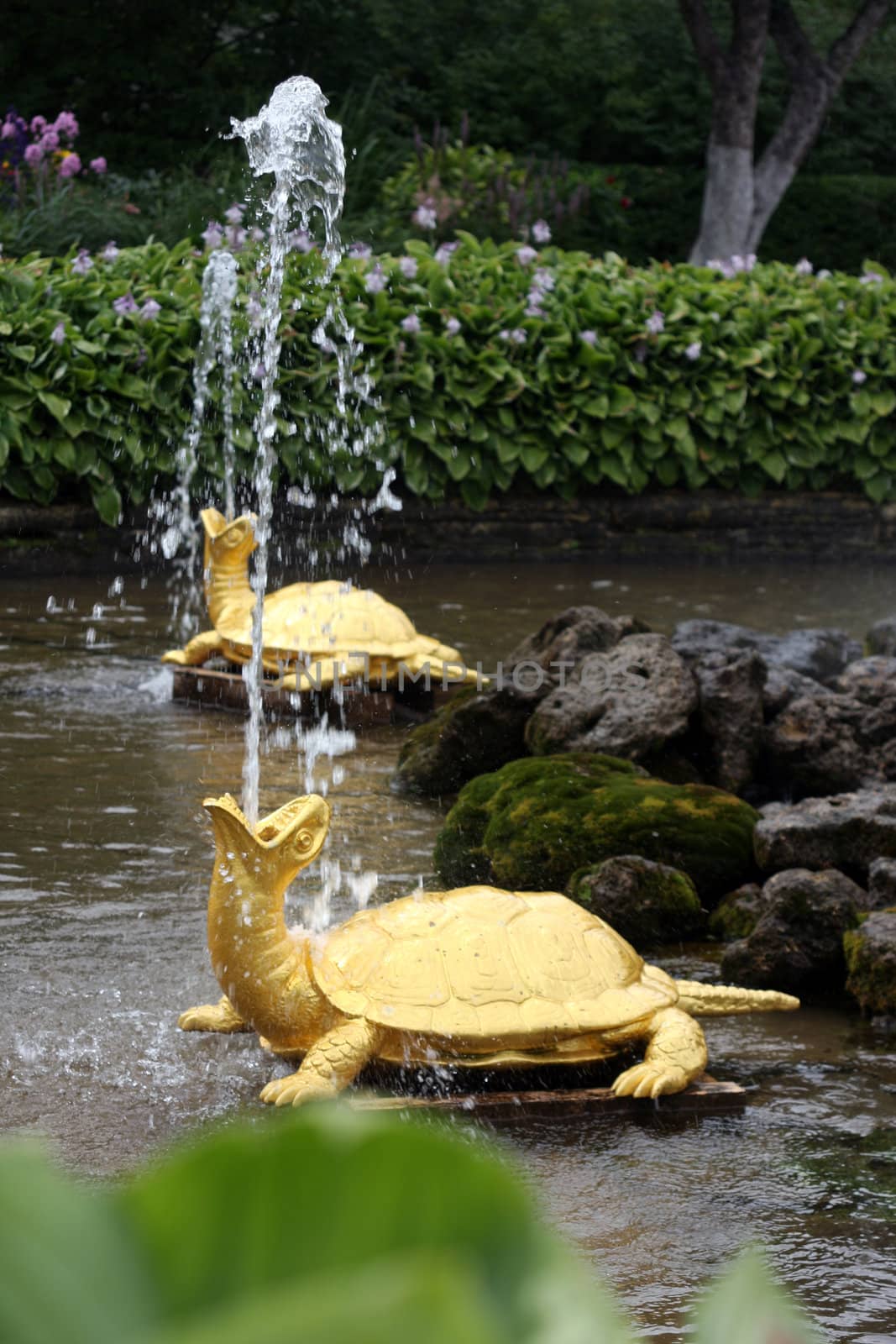 Pair of turtle fountains