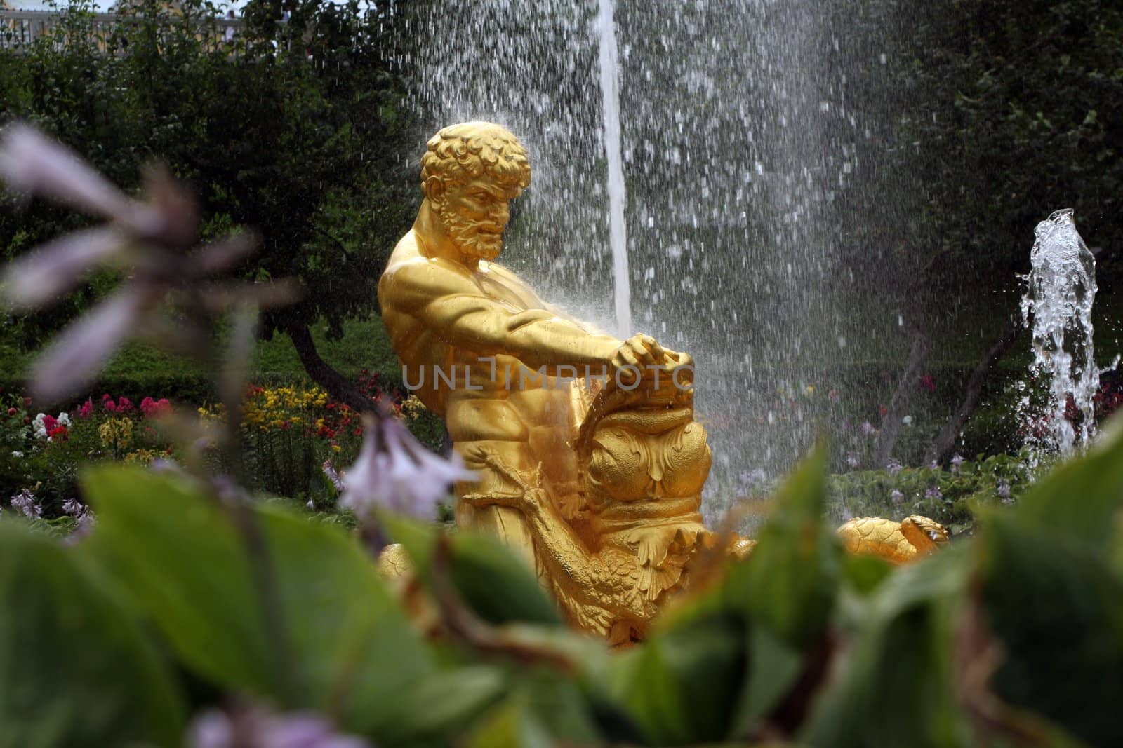 Fountain in the Petrodvoretz garden