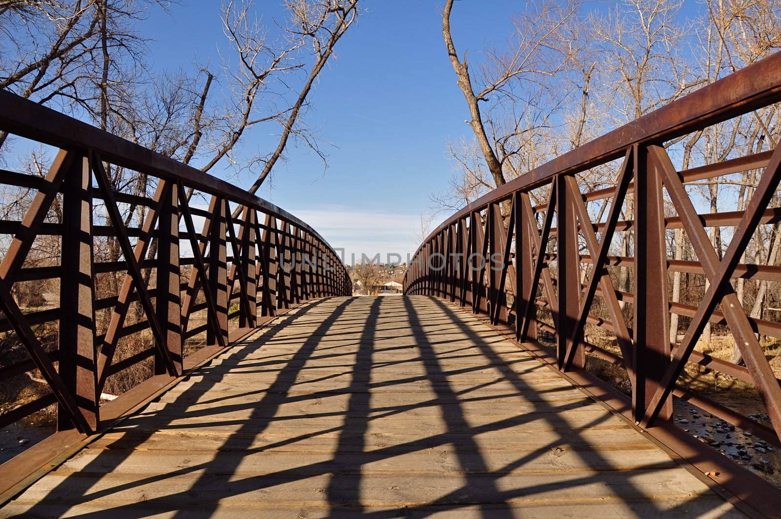 A wood and metal bridge extends out into the distance with trees, sky and copy space.