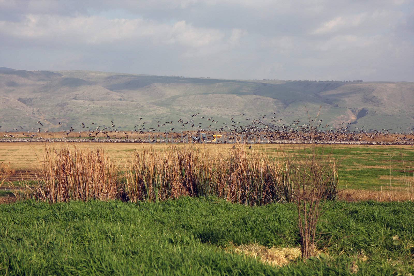 View at the north of Israel