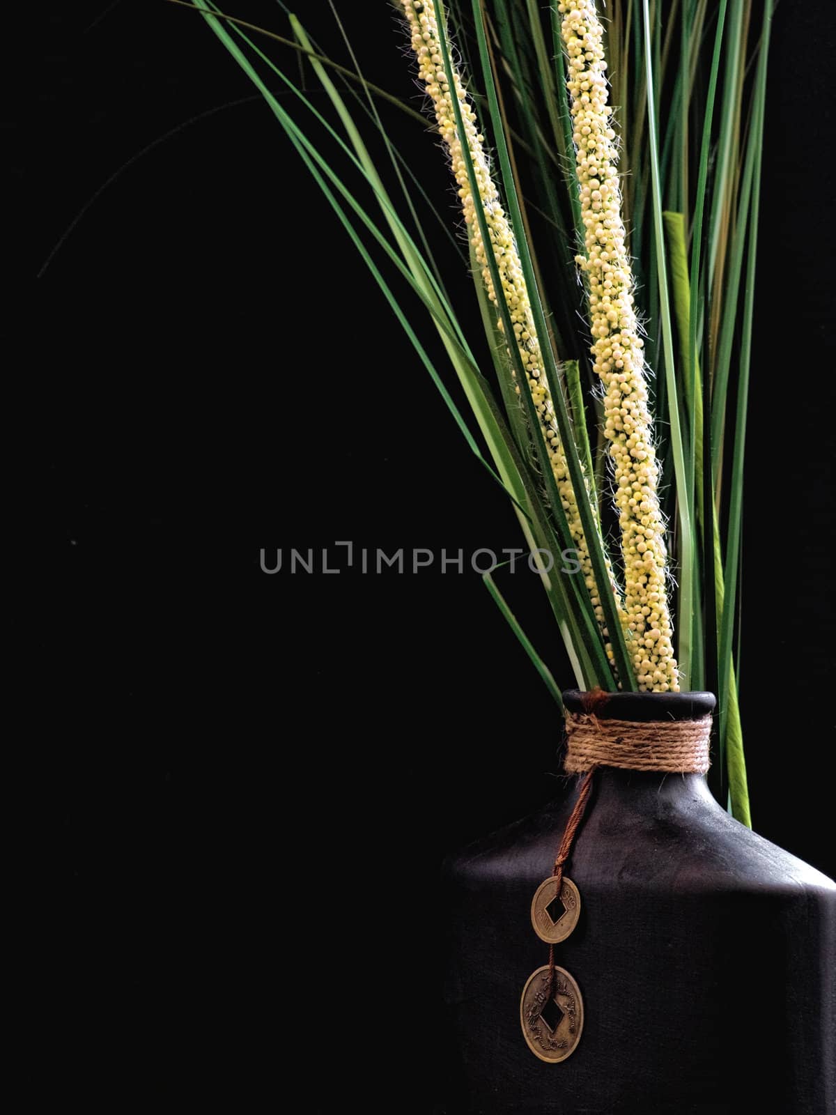 Oriental Vase with assorted grasses on a black background.