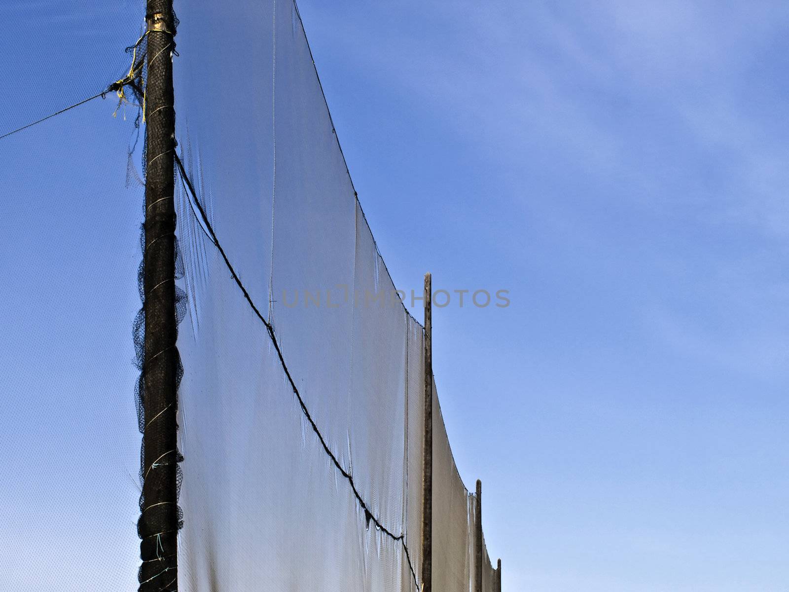 Driving range net protecting vehicles on a major city roadway.