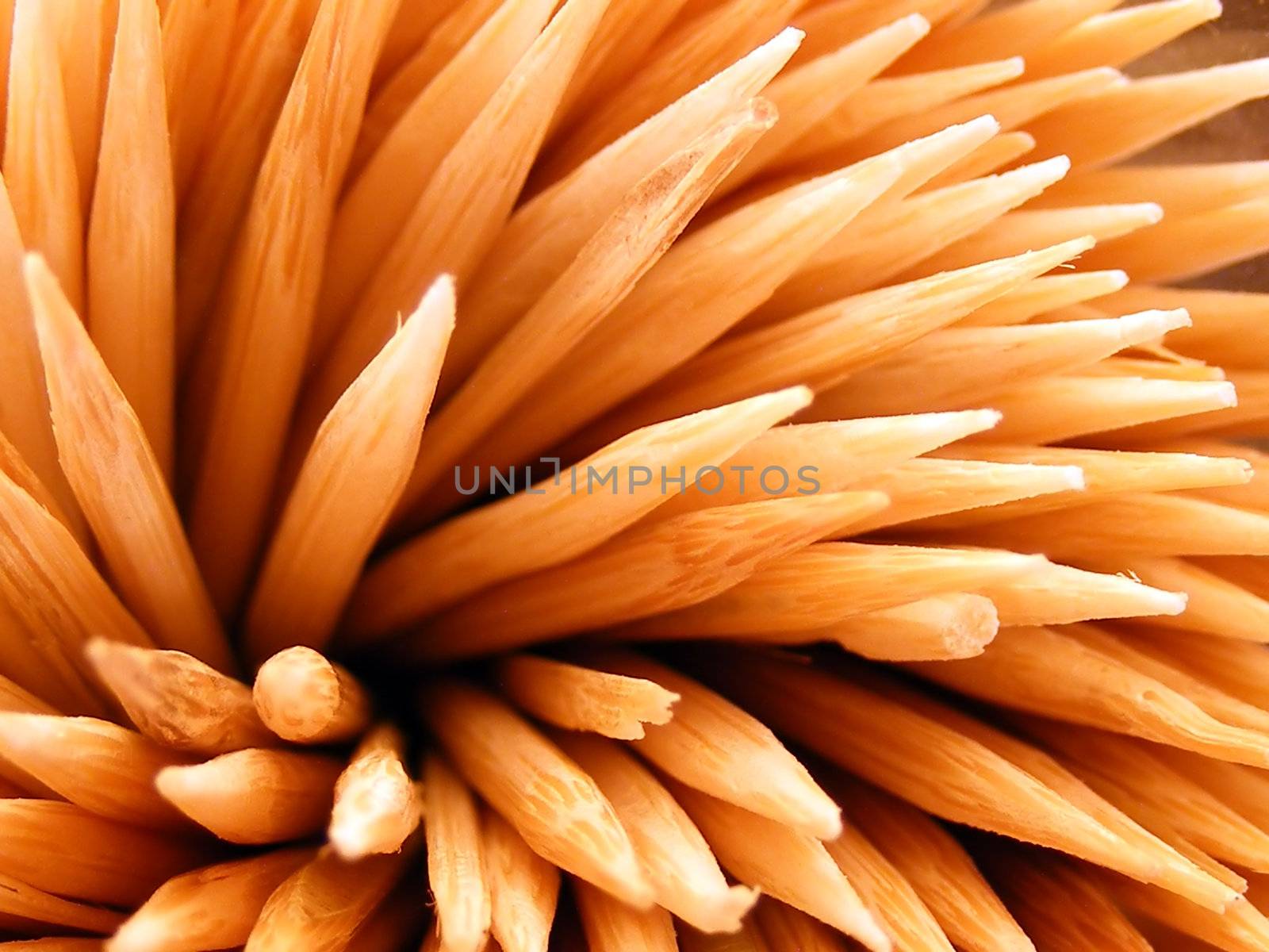 Macro of a bunch of toothpicks resembling a blooming plant.