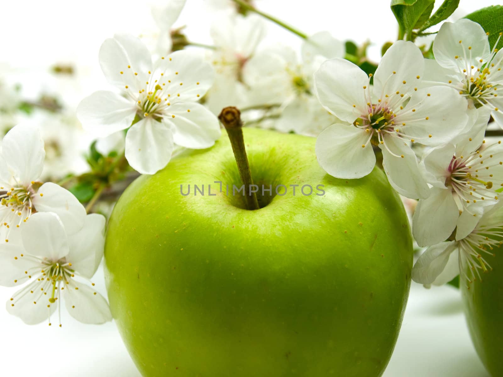 green apple by Bedolaga