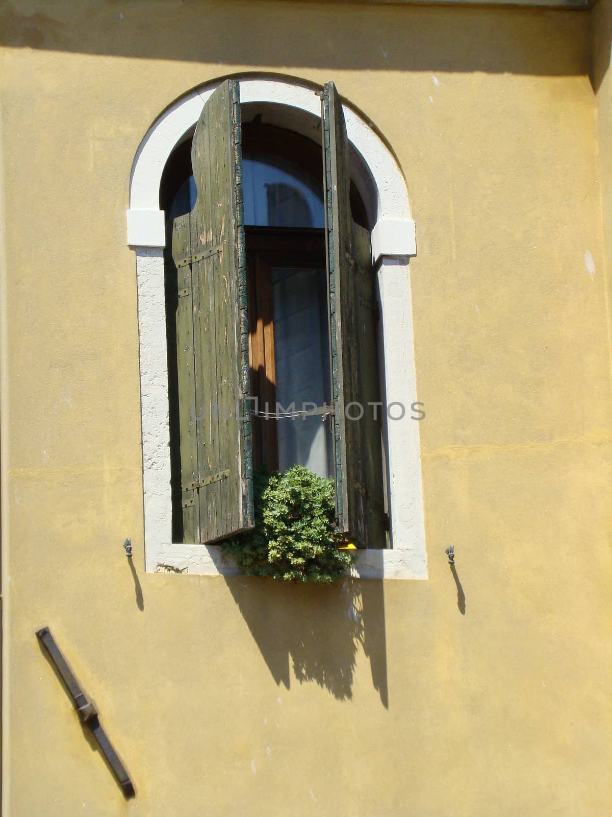 	
window in Venice,Italy