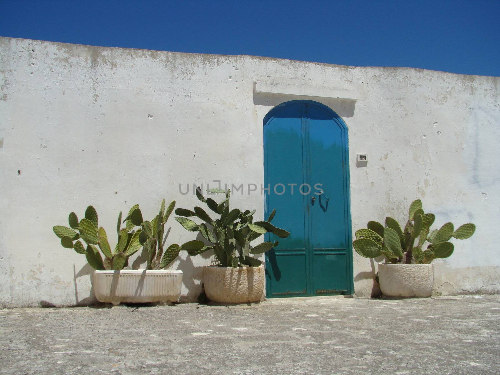 	
Mediterranean door in Apulia region in Italy