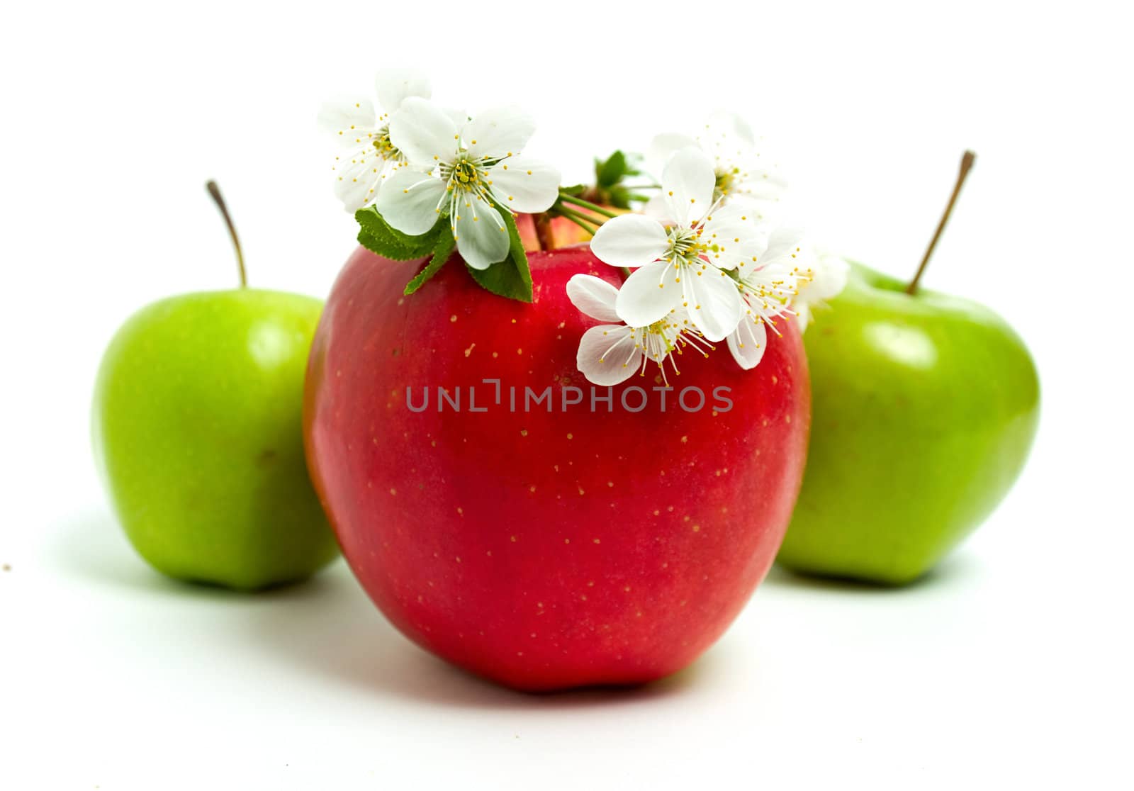 Apples by Bedolaga