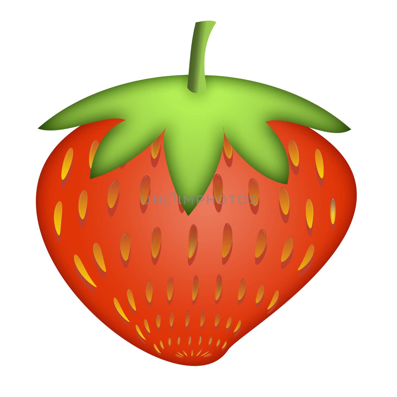 the big strawberry, the bright drawing on the white background