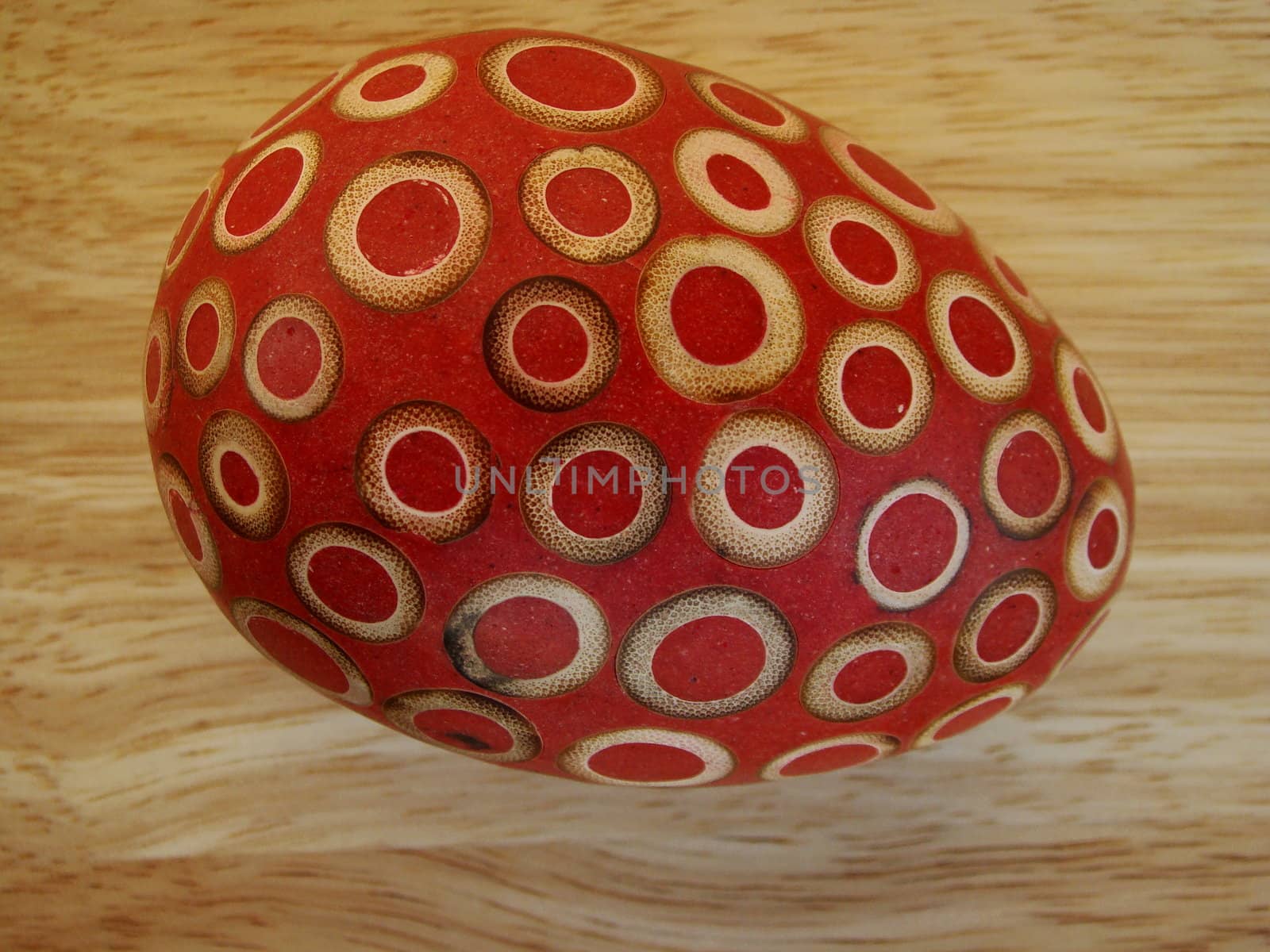 easter egg with decorative design