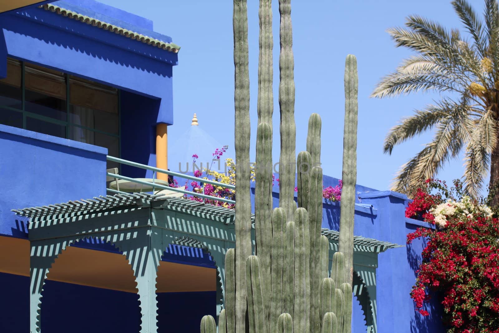 Majorelle gardens is one of the most visited touristic site in Marrakesh, Morocco. Now there is Yves-Saint-Laurent Memorial in the garden.