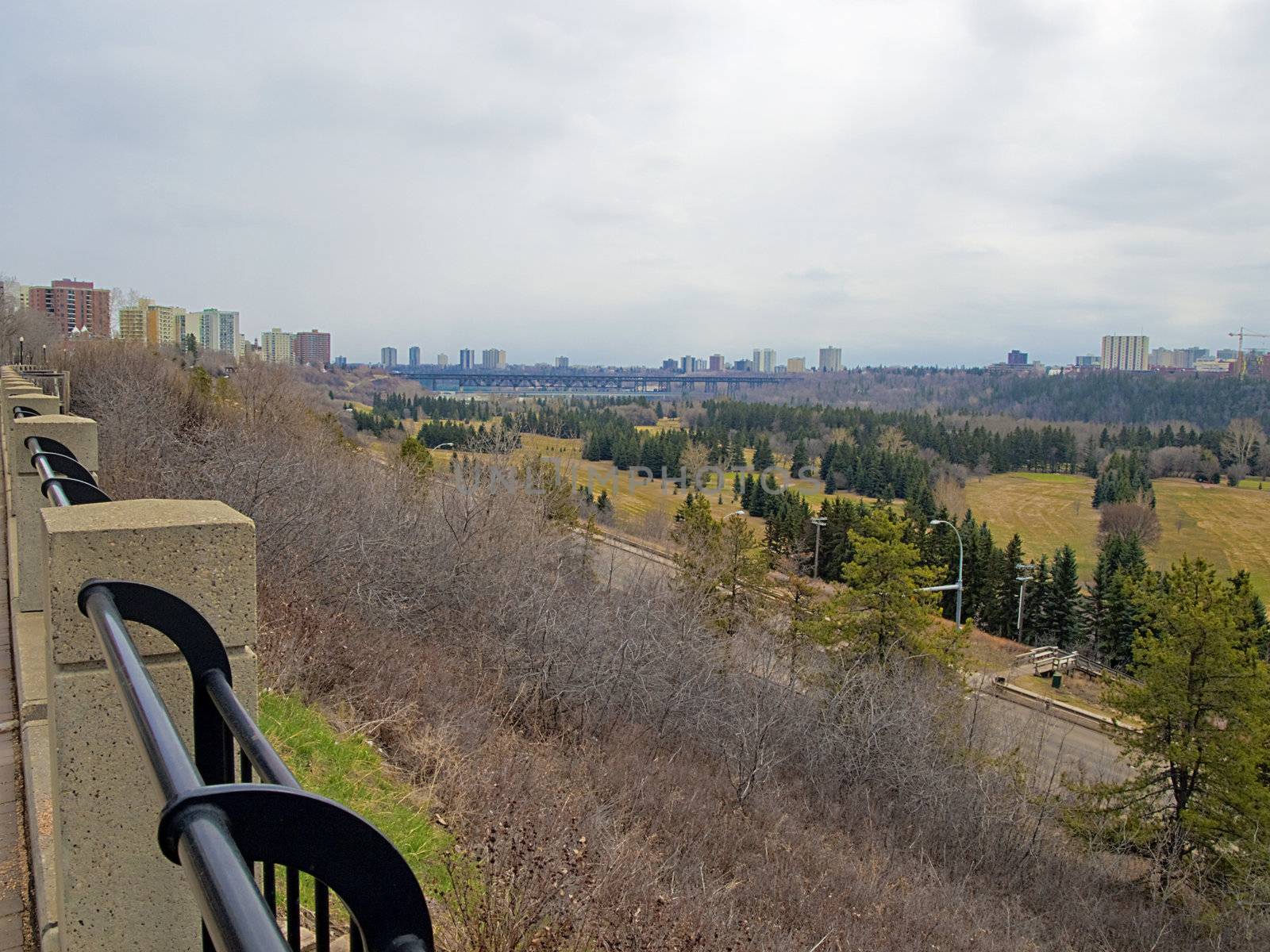 The Edmonton river valley on a cloudy spring day.