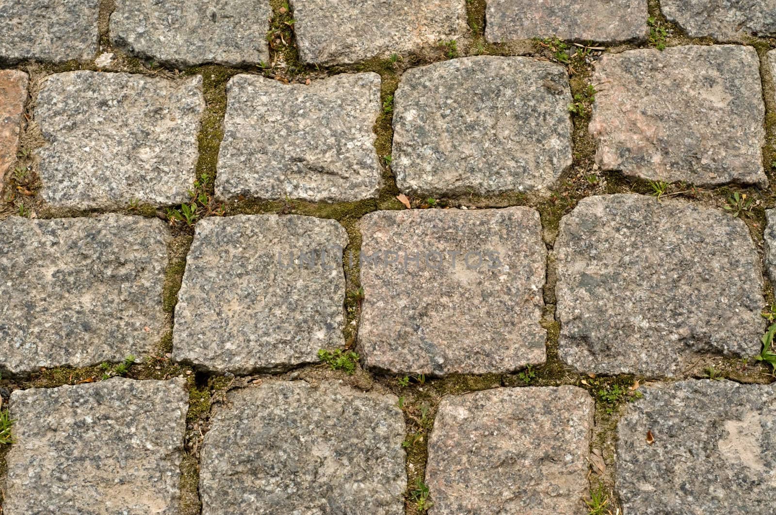 The road for walks in park is paved by a square stone 