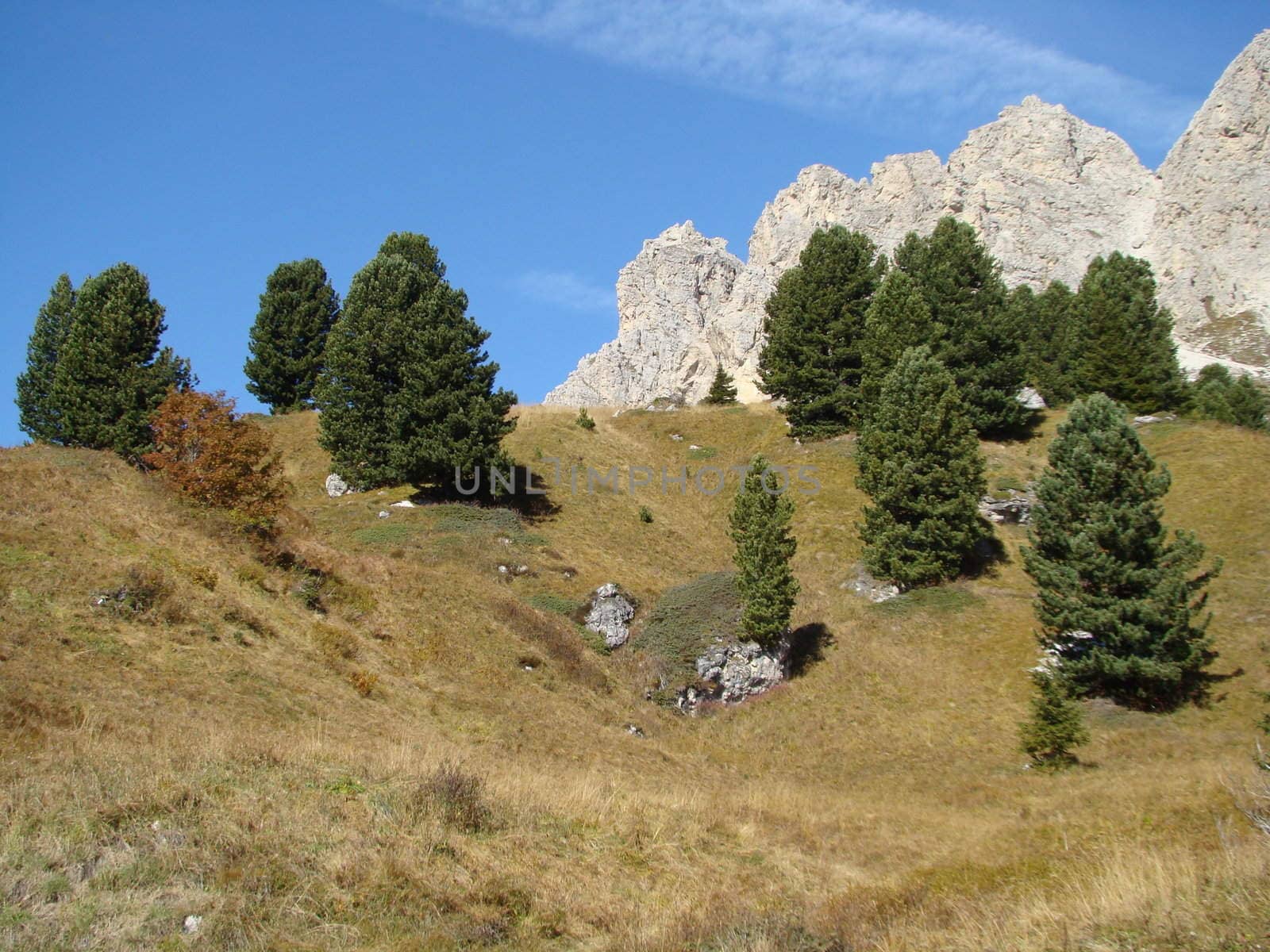 scenery in Dolomites in Italy.