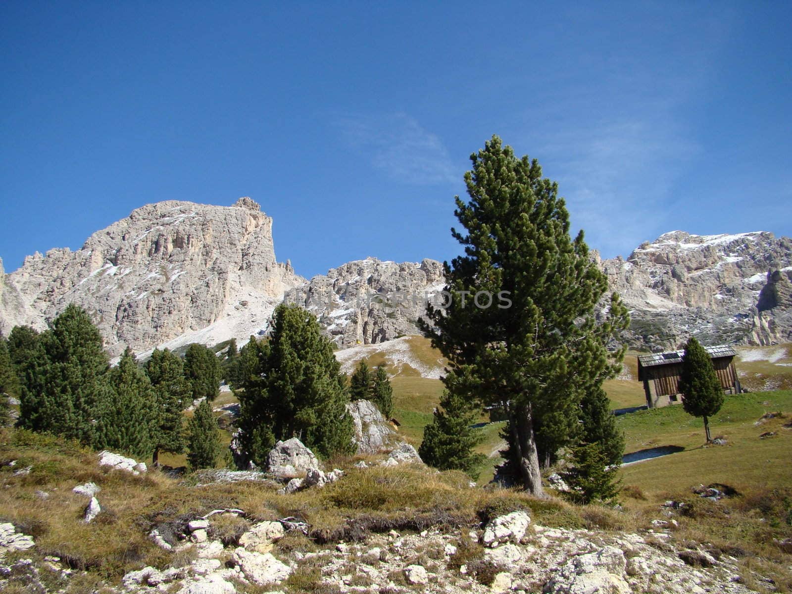 	
scenery in Dolomites in Italy.