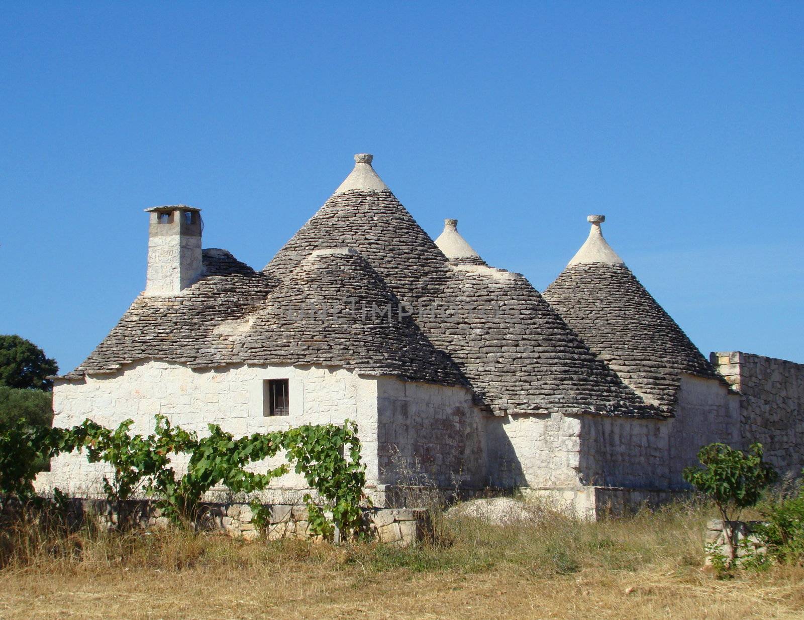 trullo house in Apulia, region in Italy. Trulli are local,traditional Apulian stone dwelling with a conical roof. They may be found in the towns of Alberobello, Locorotondo, Fasano, Cisternino, Martina Franca and Ceglie Messapica.