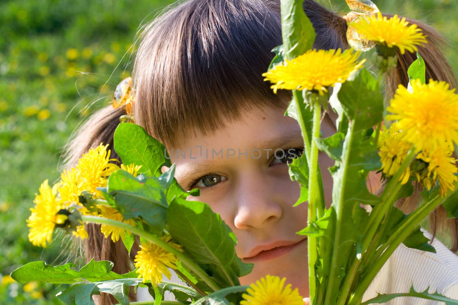 Little girl on the spring meadow peeps out through bunch of dandelions