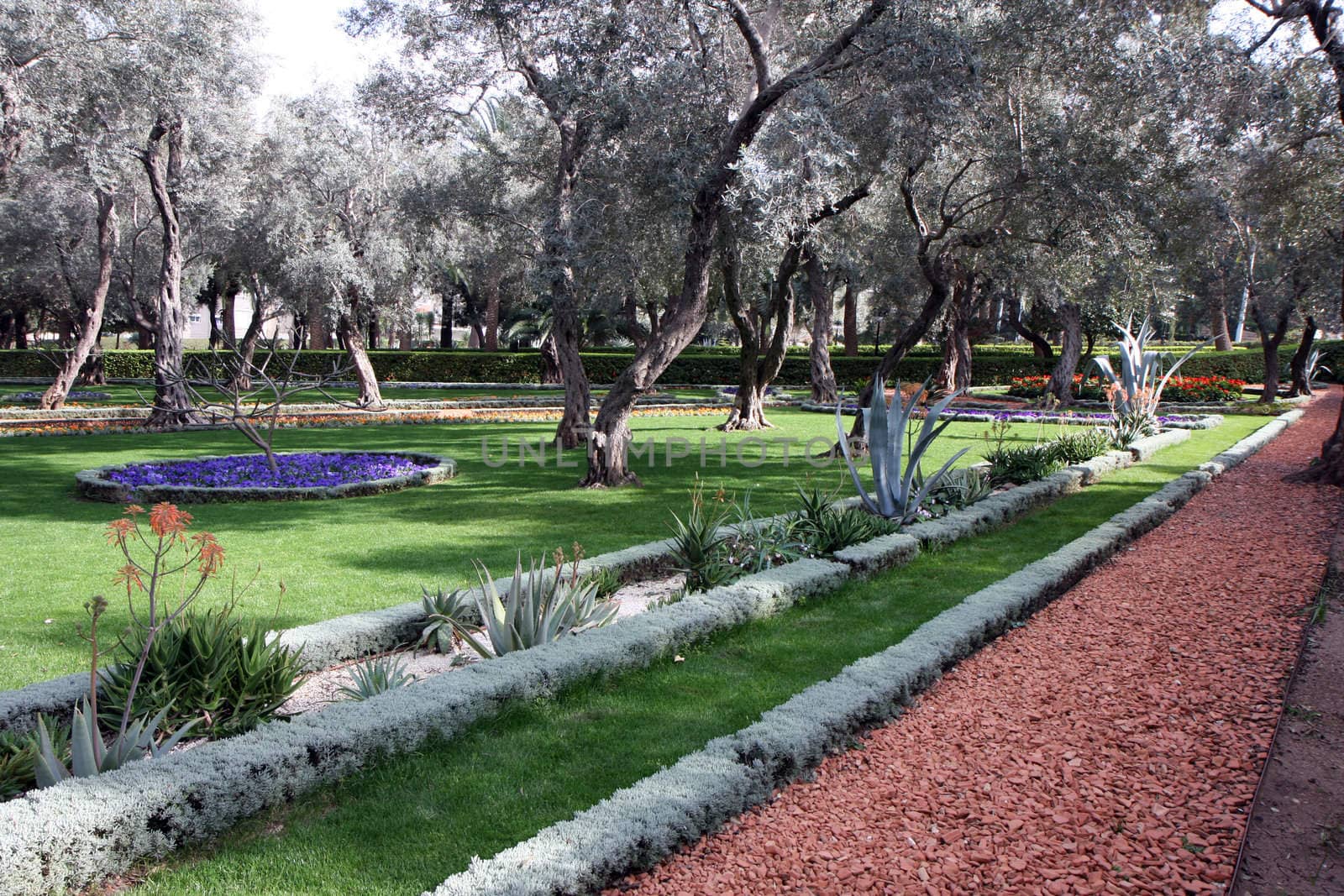 Bahai gardens