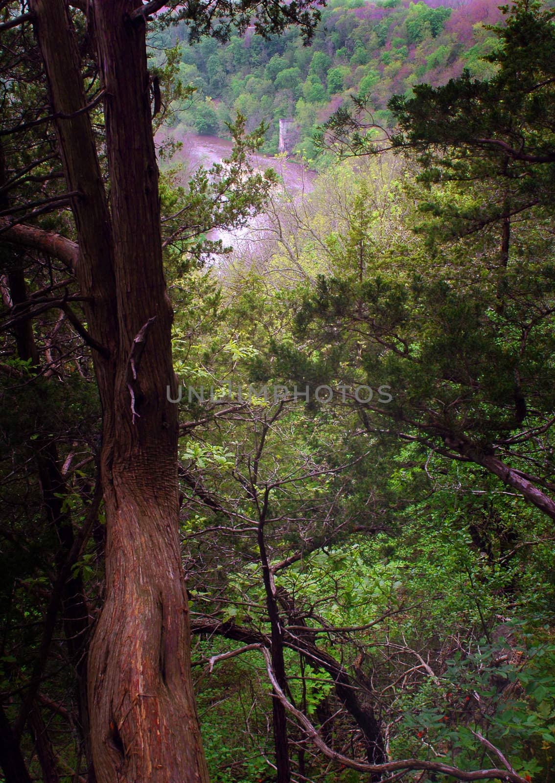 Image of an old abandoned power mill along a small river taken from the top of a hill in the forest.
