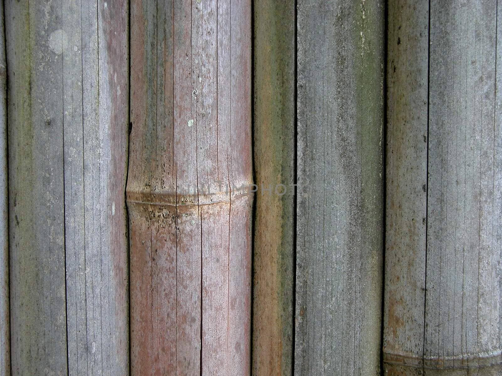 bamboo fence texture          