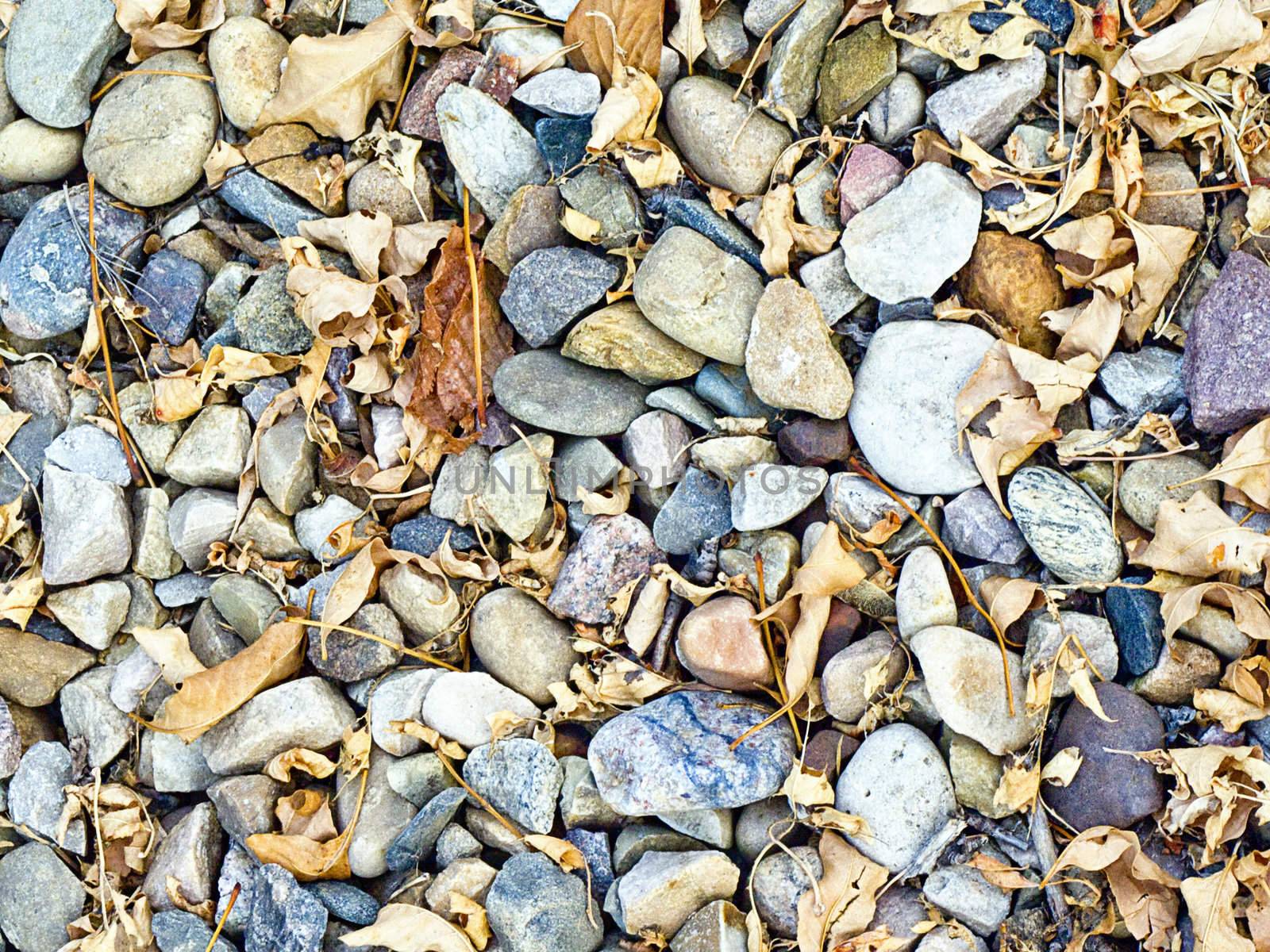 Rock bed and autumn leaves from a river bank
