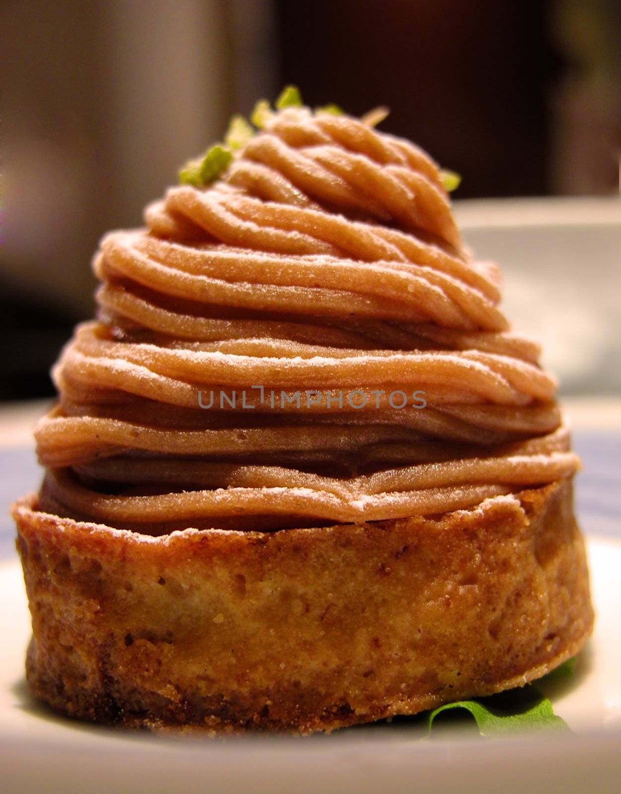 Extreme close-up of a very tast cake with chestnut cream and sugar powder.          