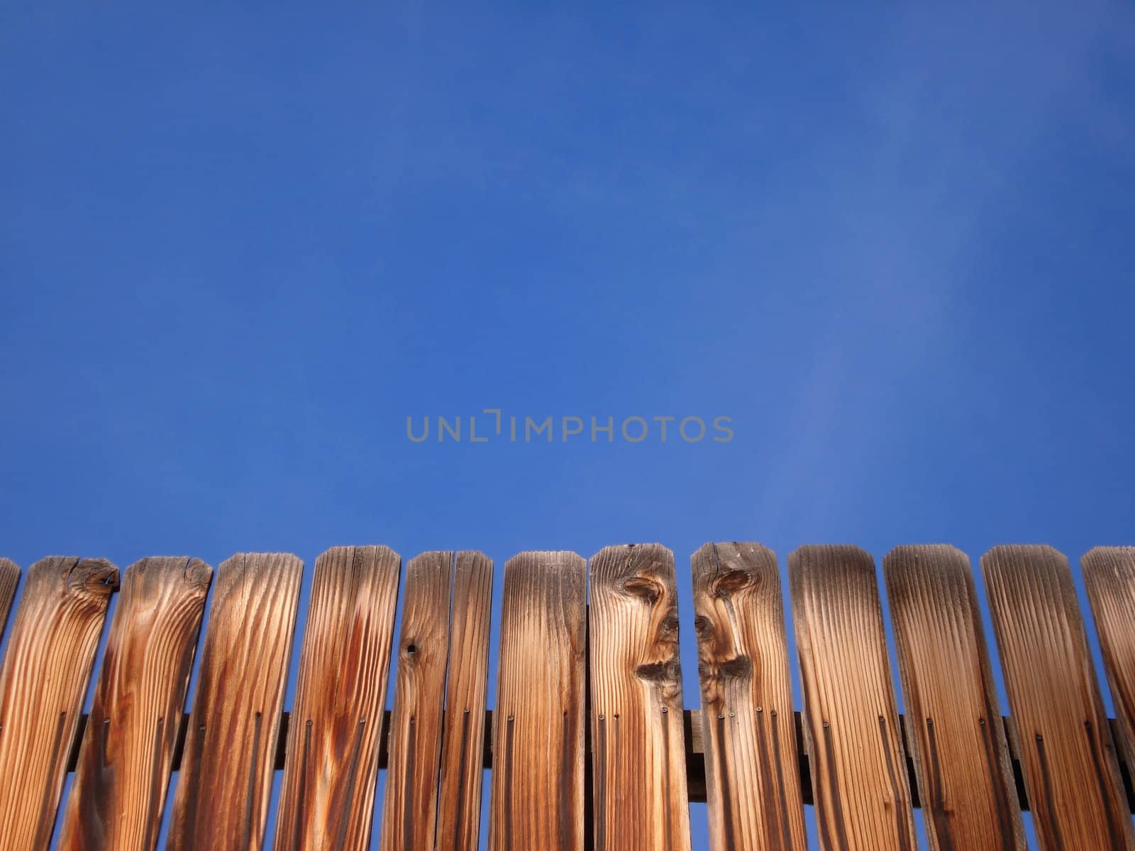 A wooden fence stands in front of a clear, blue Colorado sky.