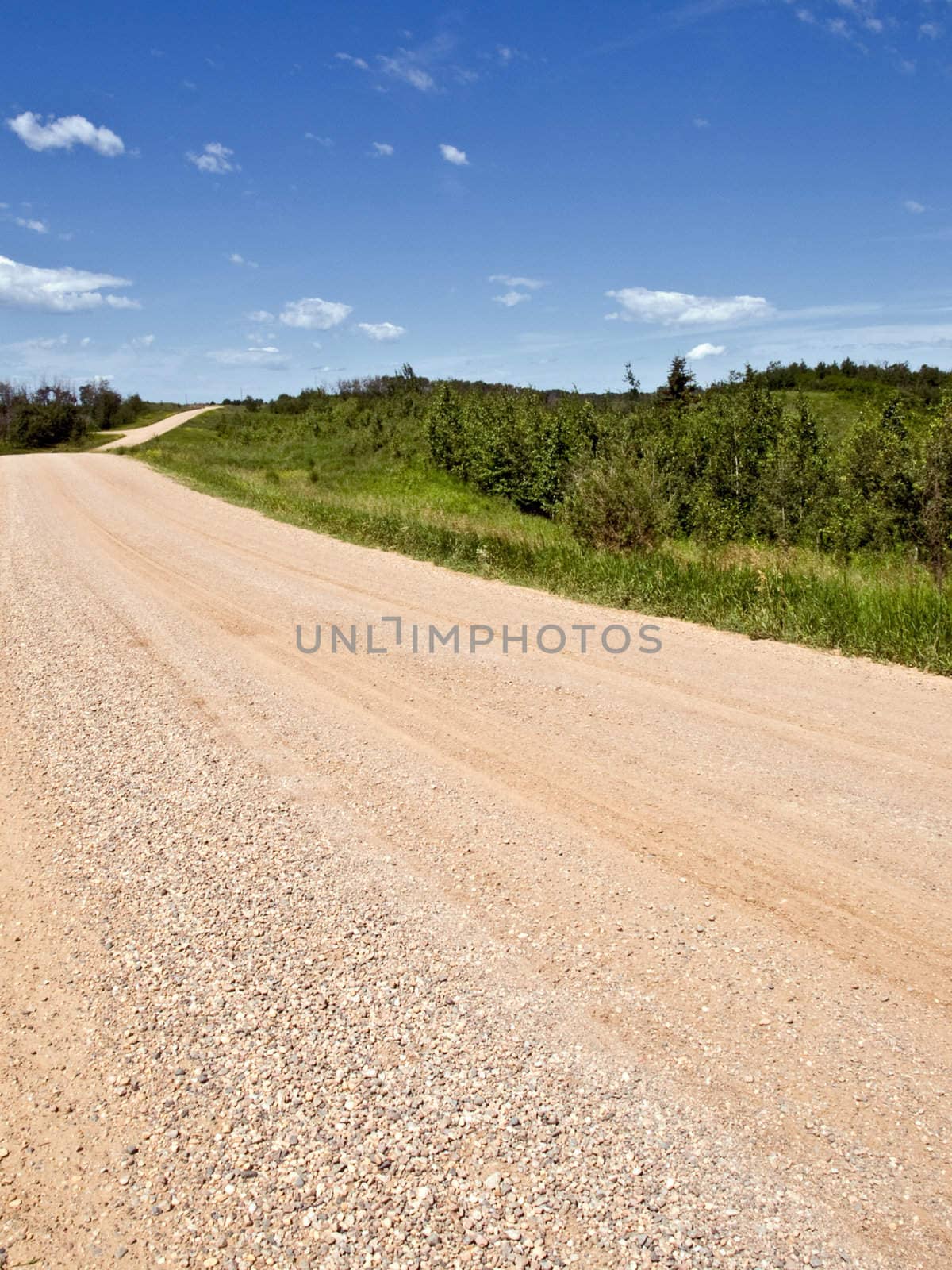 Country road in rural Alberta, Canada, summer of 2008.