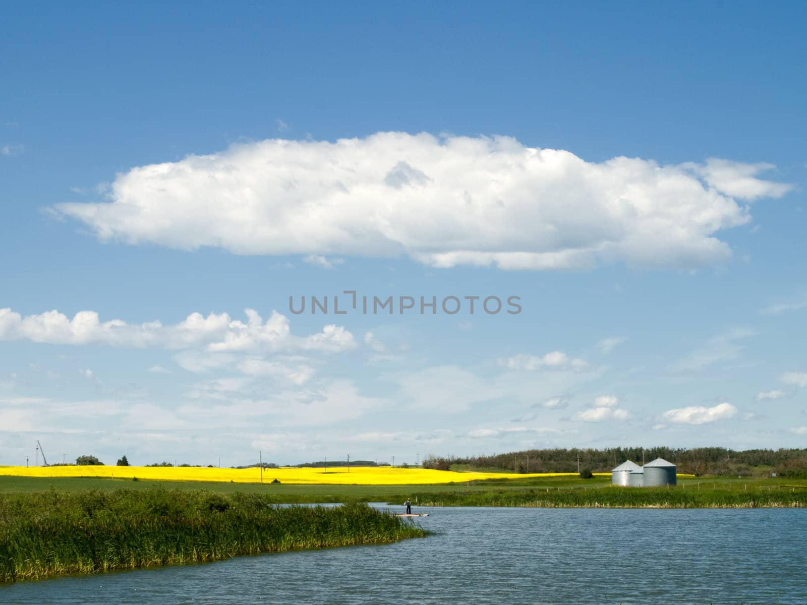 Fishing pond near a canola farm in rural Alberta.