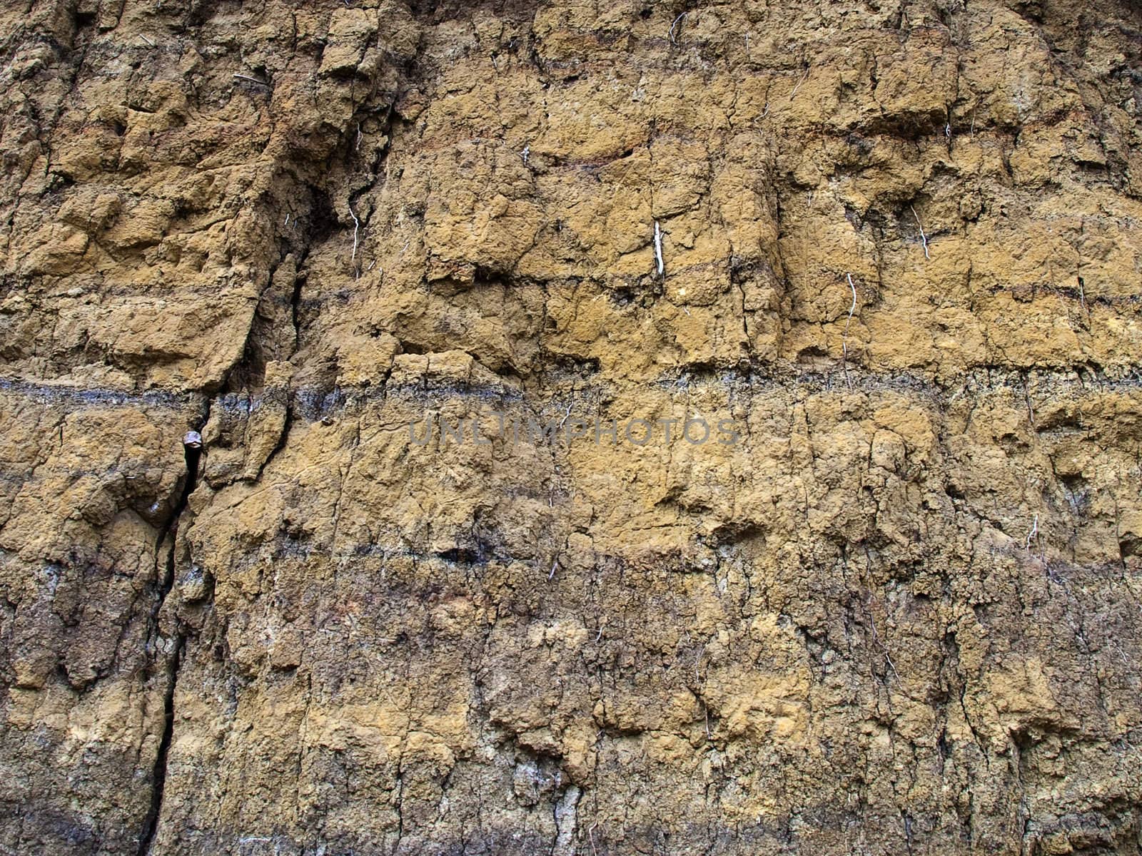 Erosion Background Texture by watamyr