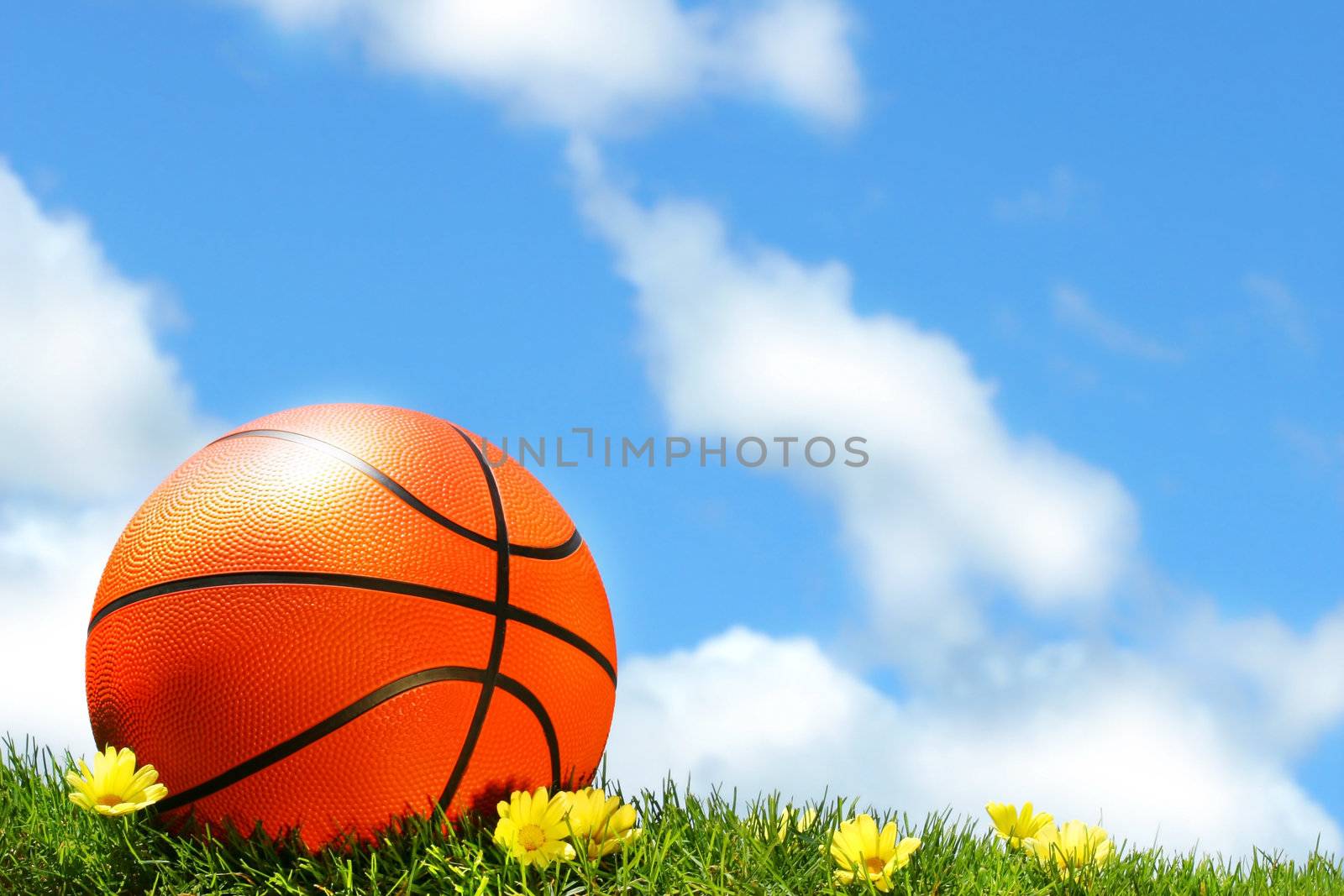 Basketball on the grass against blue sky