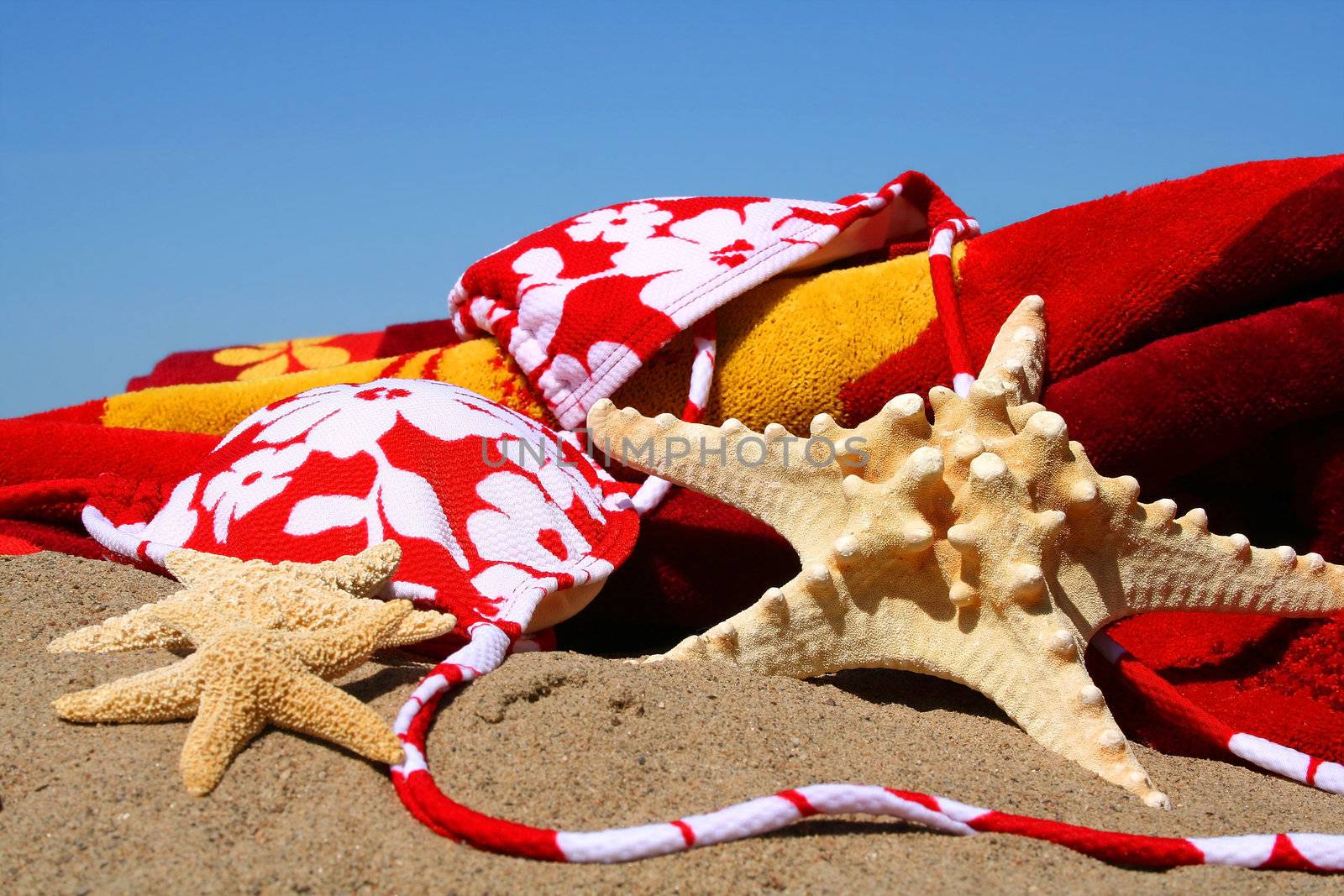 Bikini top, starfish with beach towel in the sand