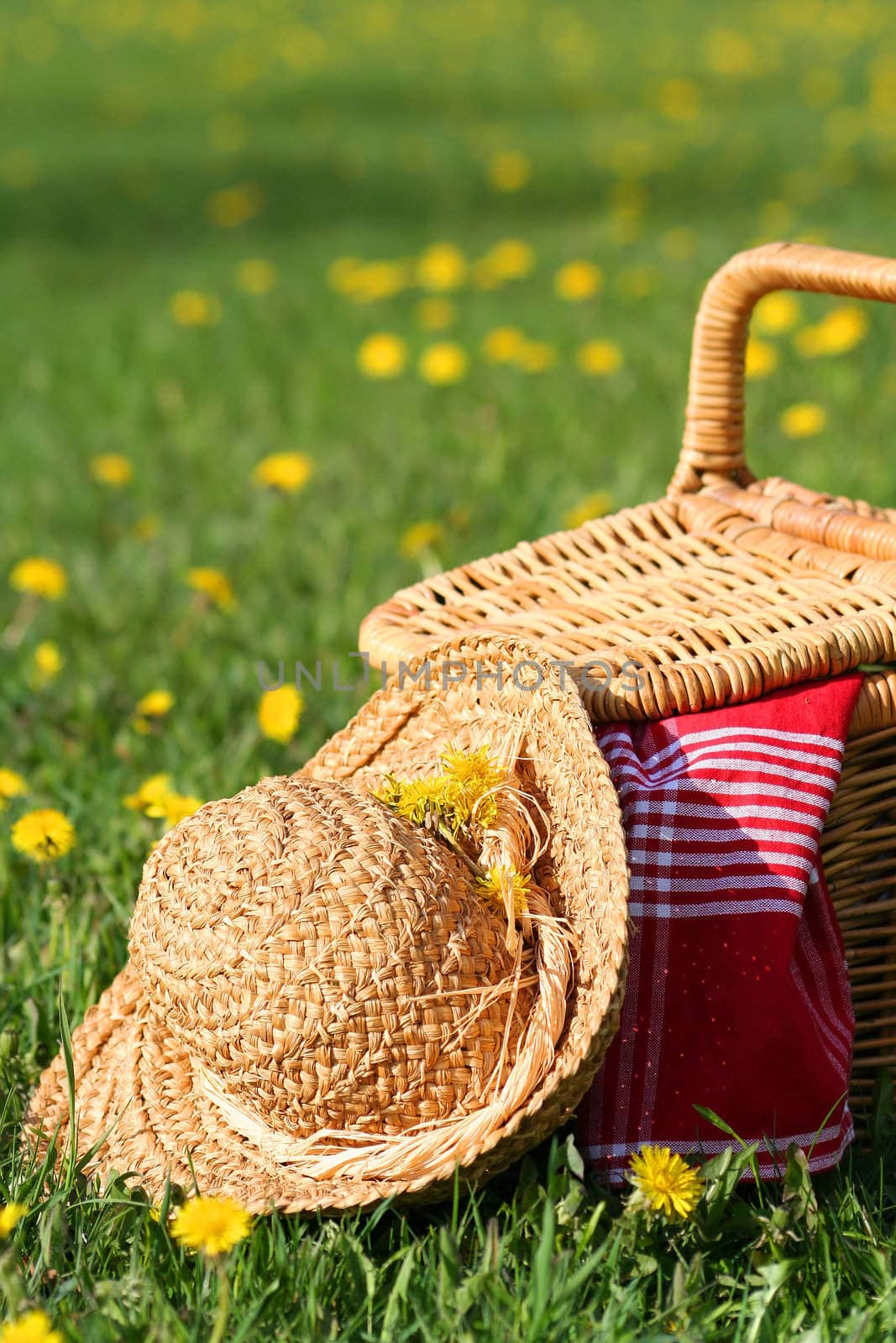 Picnic basket and hat by Sandralise