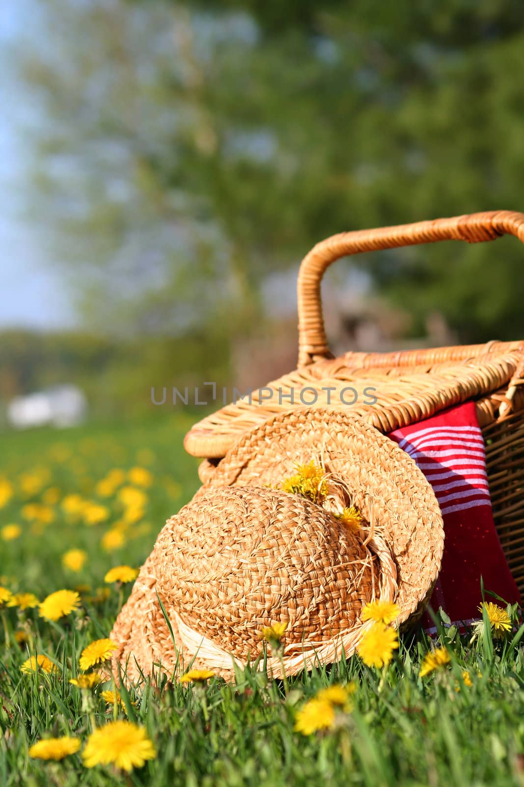 A picnic on the grass with wicker basket and sun hat