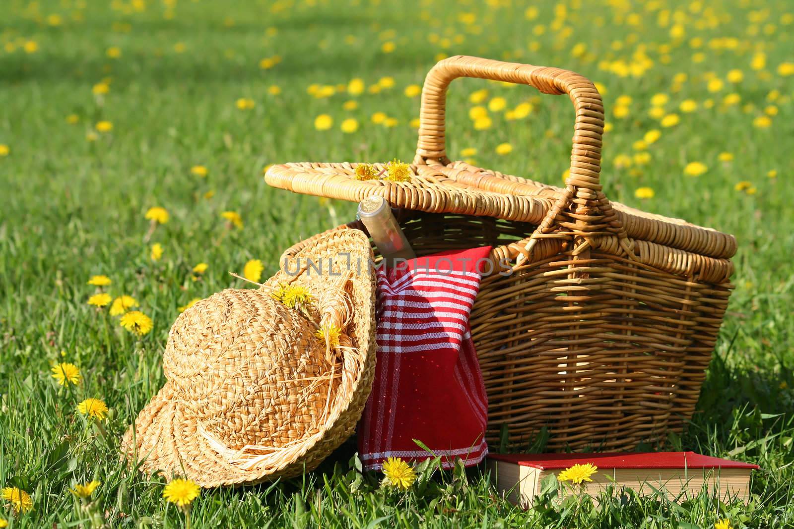 Picnic basket and straw hat  by Sandralise