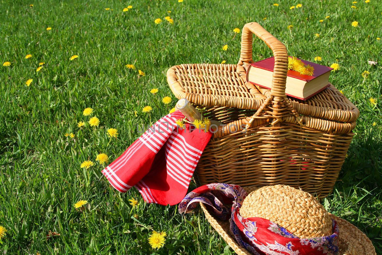 
Picnic basket and straw hat laying on the grass