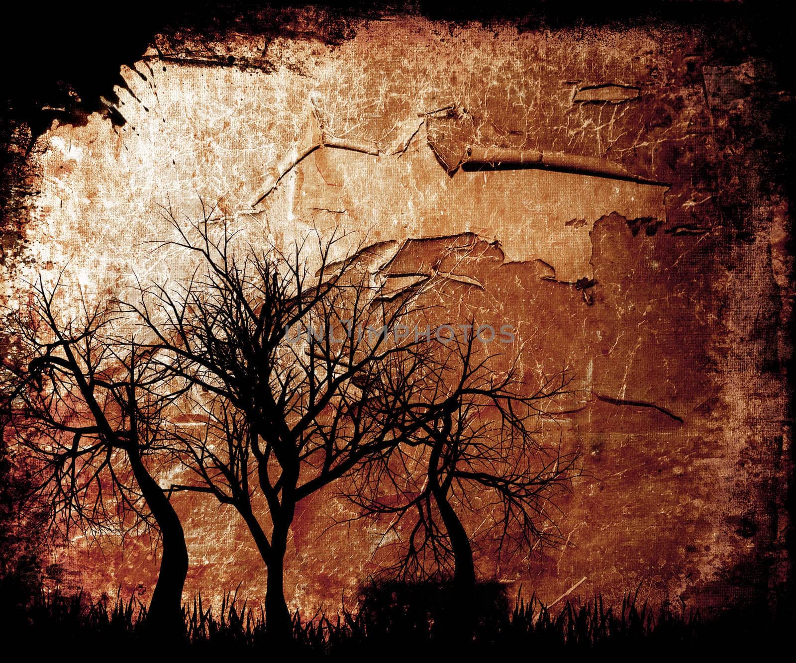 Silhouettes of trees on grunge background