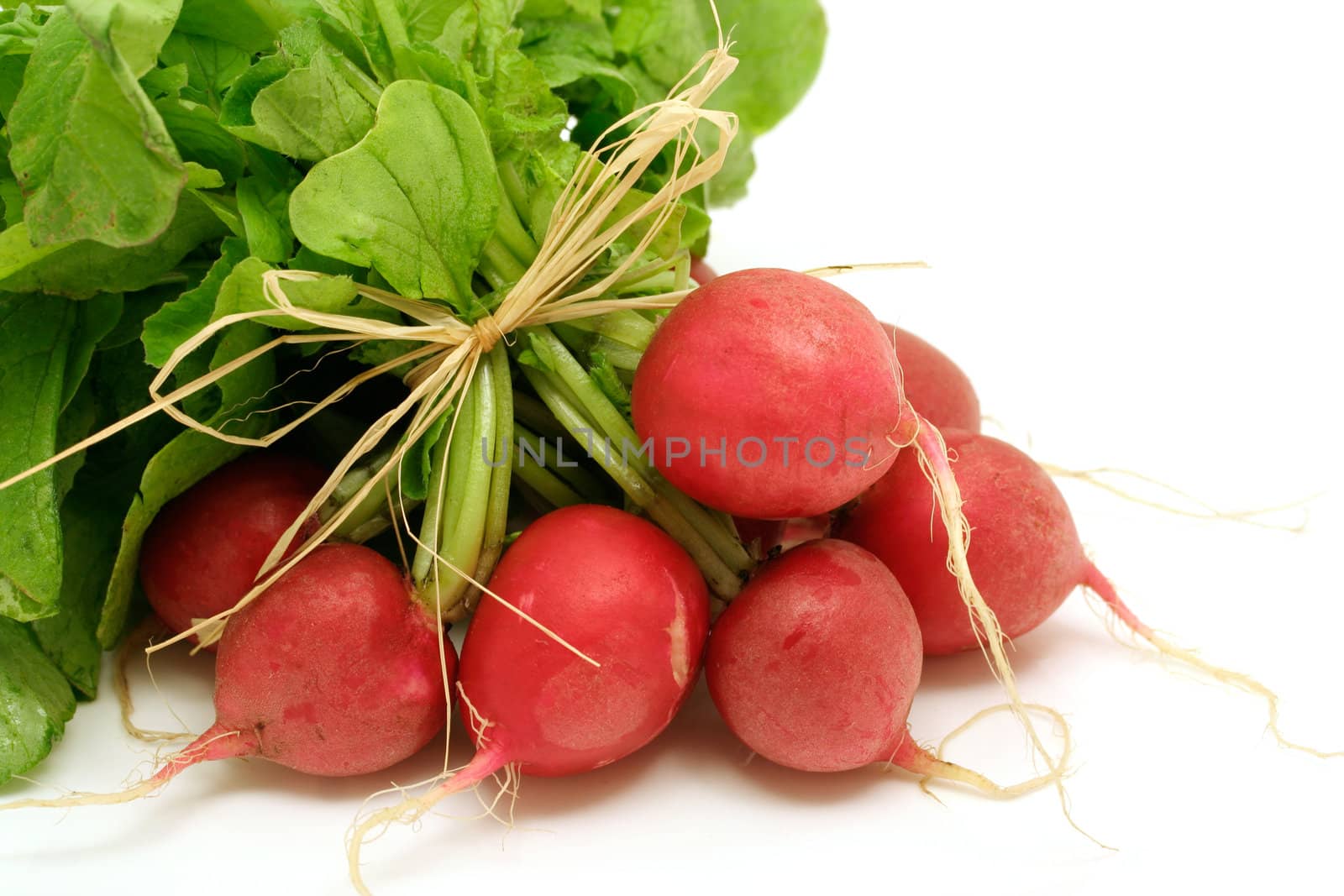 bundle of fresh radishes on white background