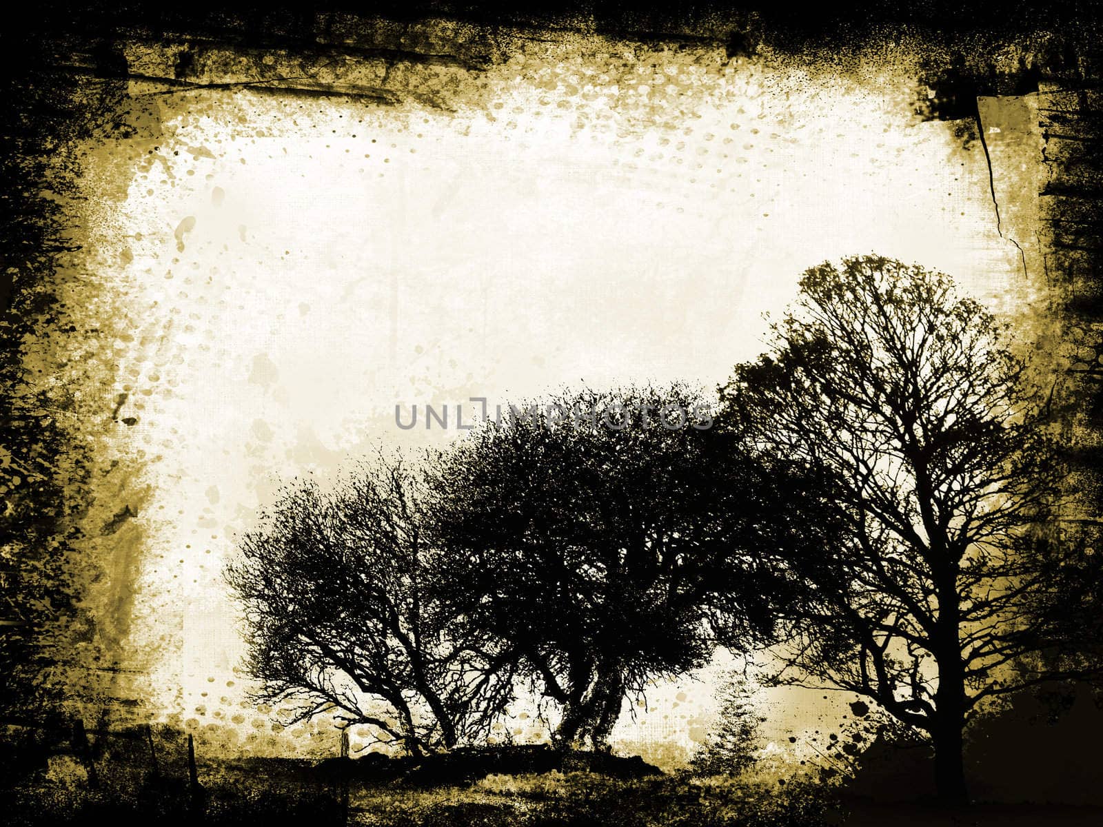 Silhouettes of trees on grunge background