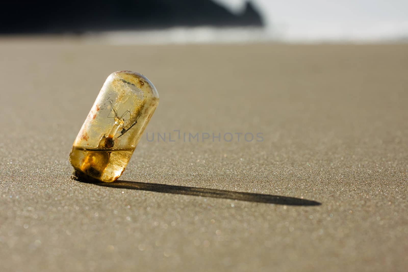 Old light bulb washed up on beach, half filled with water, environmental concept, shallow depth of field