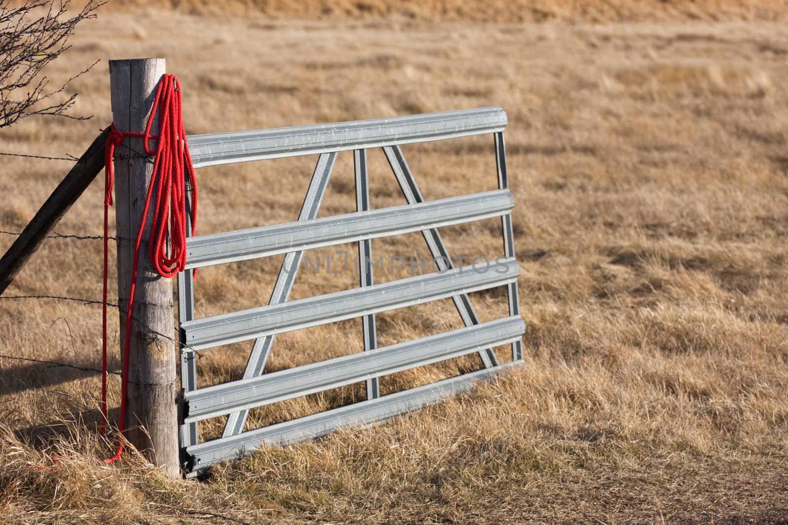 Open gate to horse field by cjoneill